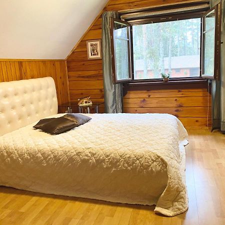 Rojaus Slenis Villa Druskininkai Dış mekan fotoğraf