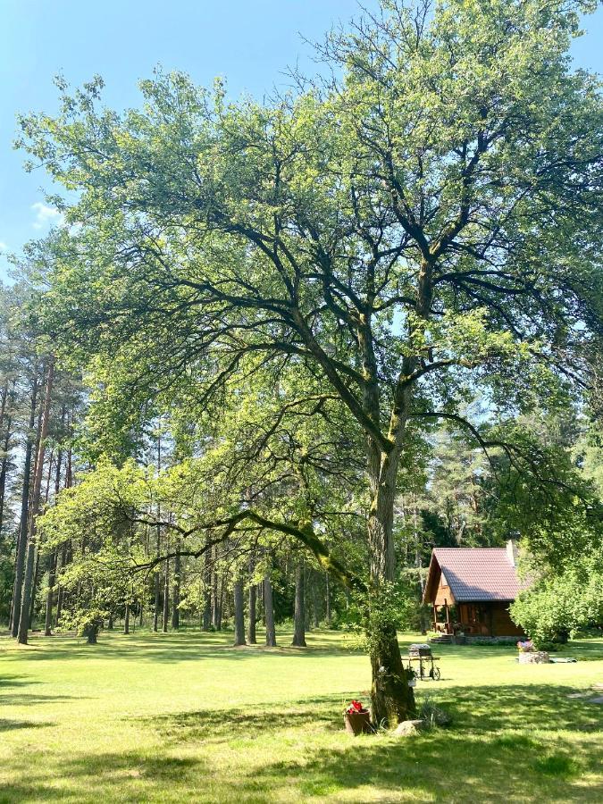 Rojaus Slenis Villa Druskininkai Dış mekan fotoğraf