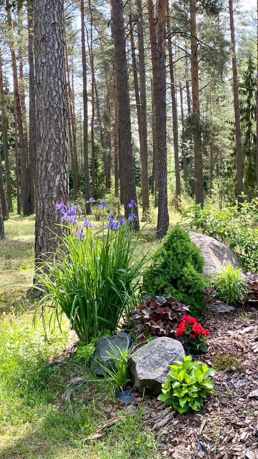 Rojaus Slenis Villa Druskininkai Dış mekan fotoğraf