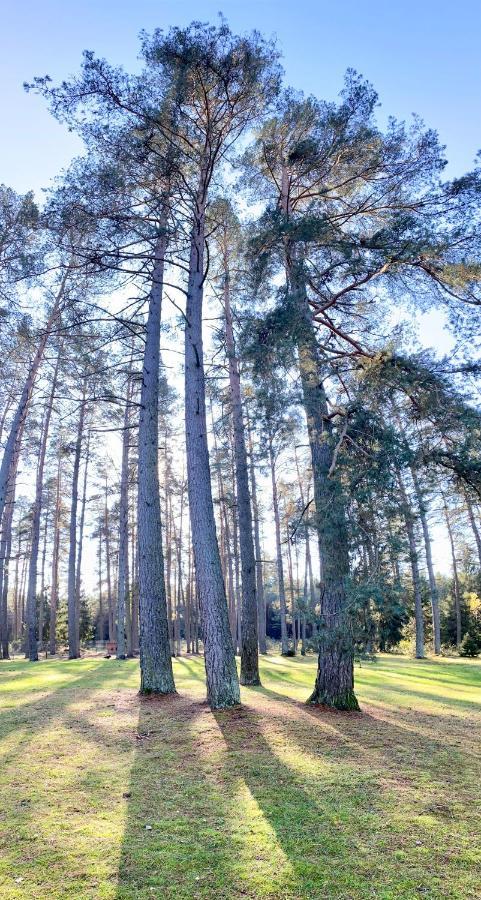 Rojaus Slenis Villa Druskininkai Dış mekan fotoğraf