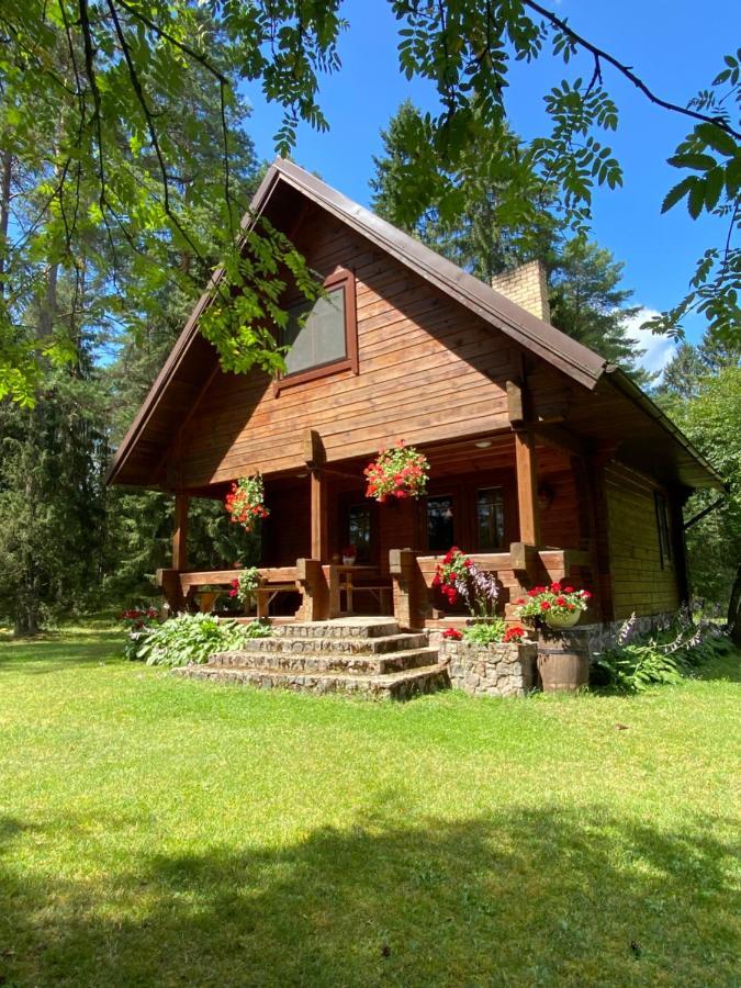 Rojaus Slenis Villa Druskininkai Dış mekan fotoğraf