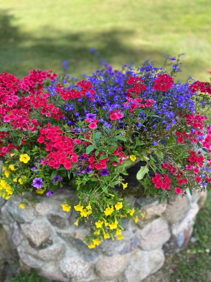 Rojaus Slenis Villa Druskininkai Dış mekan fotoğraf
