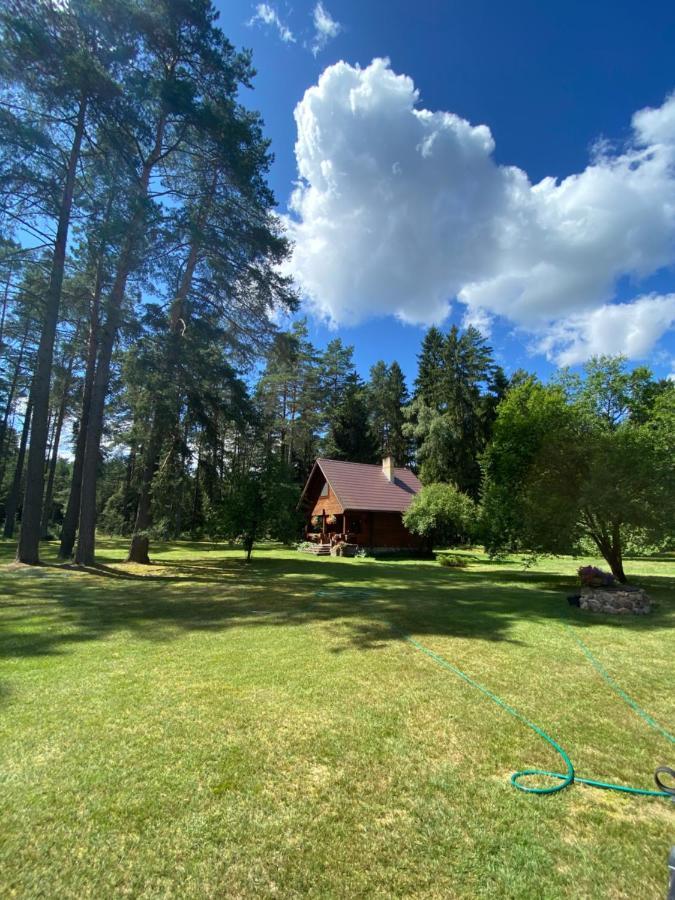 Rojaus Slenis Villa Druskininkai Dış mekan fotoğraf