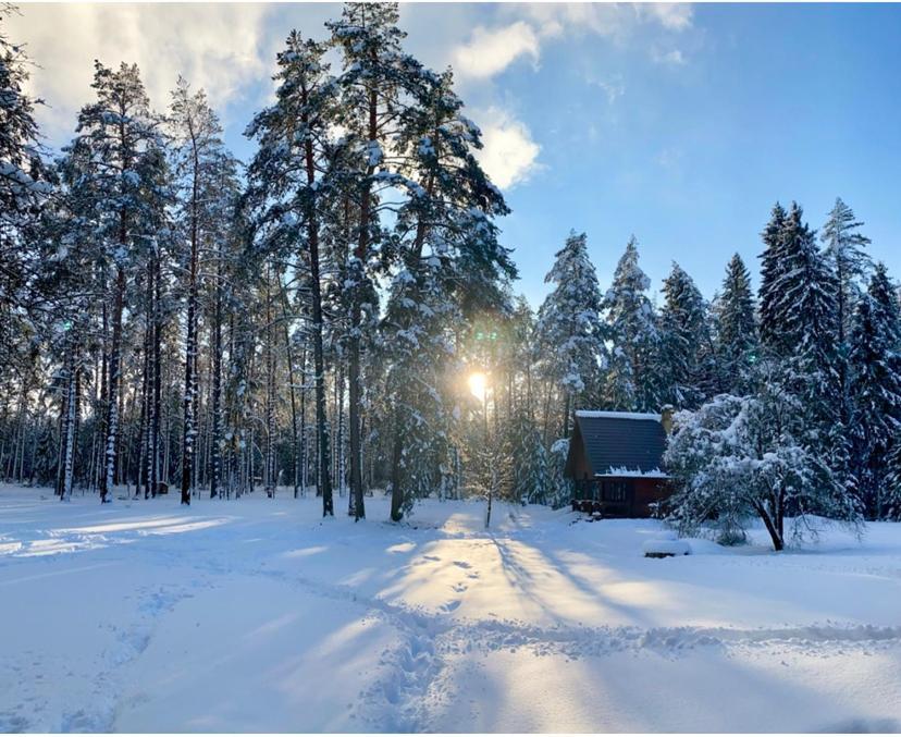 Rojaus Slenis Villa Druskininkai Dış mekan fotoğraf