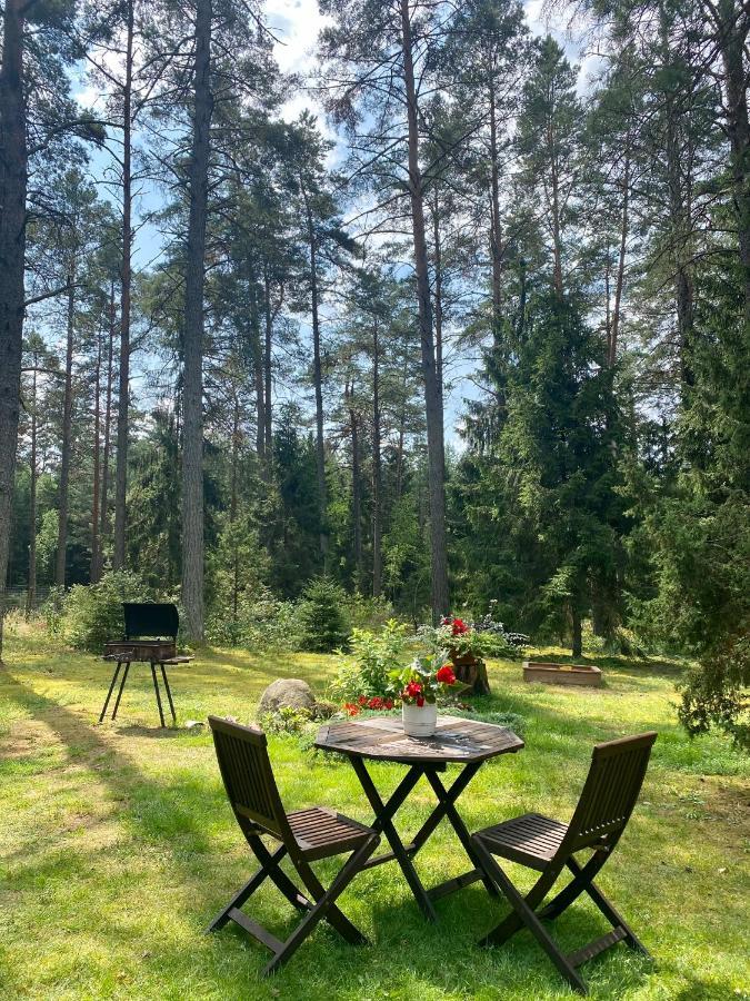 Rojaus Slenis Villa Druskininkai Dış mekan fotoğraf