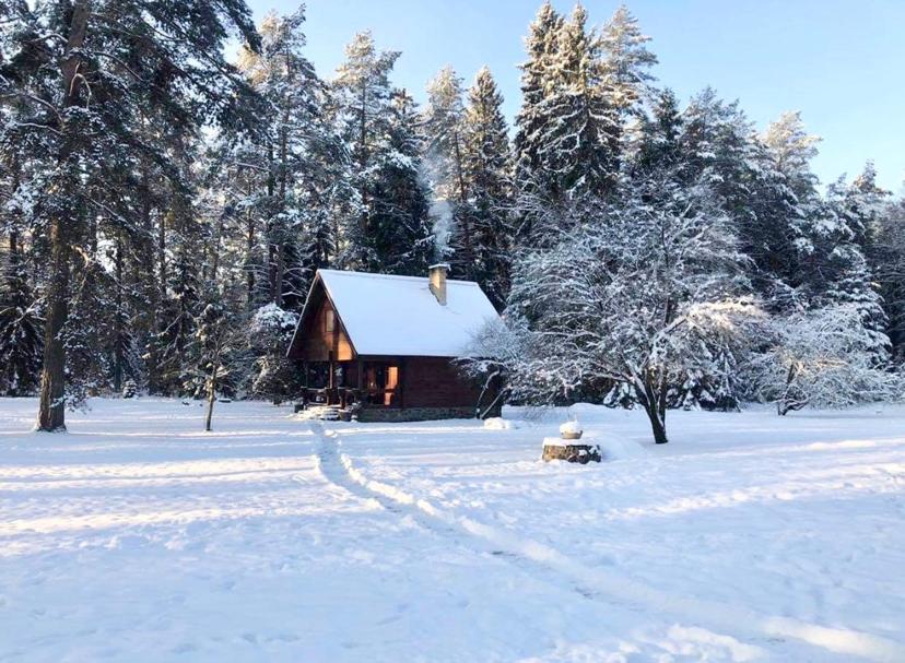 Rojaus Slenis Villa Druskininkai Dış mekan fotoğraf