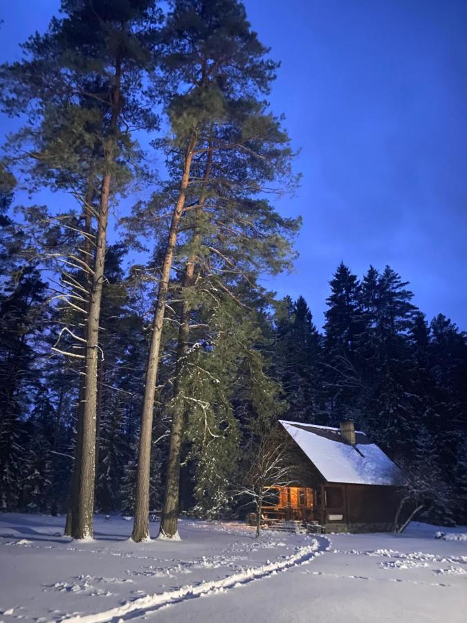 Rojaus Slenis Villa Druskininkai Dış mekan fotoğraf