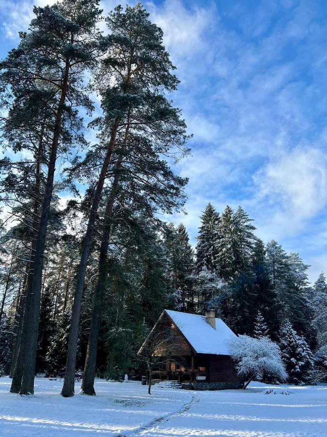Rojaus Slenis Villa Druskininkai Dış mekan fotoğraf