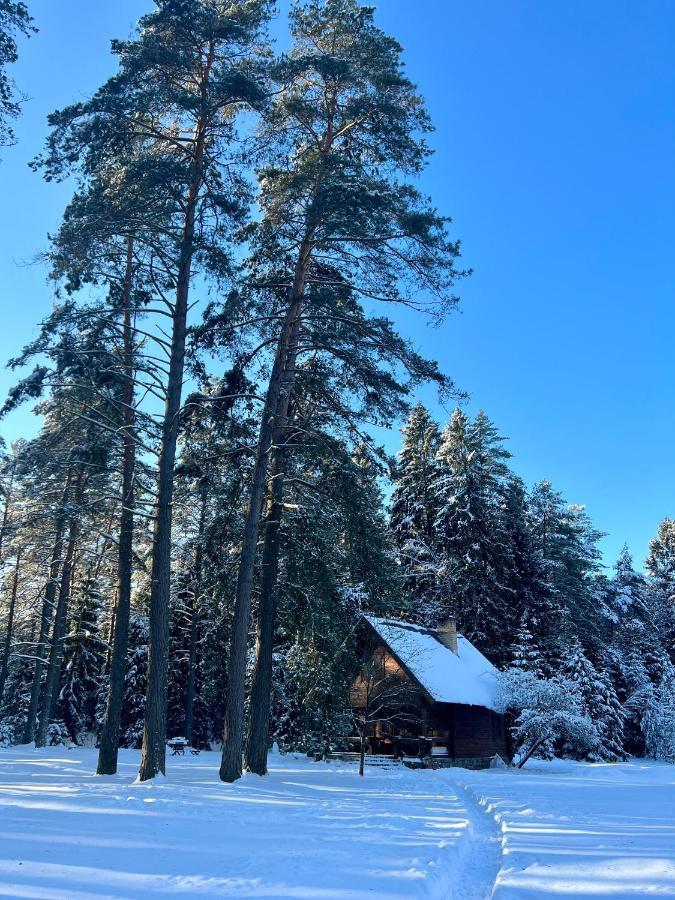 Rojaus Slenis Villa Druskininkai Dış mekan fotoğraf