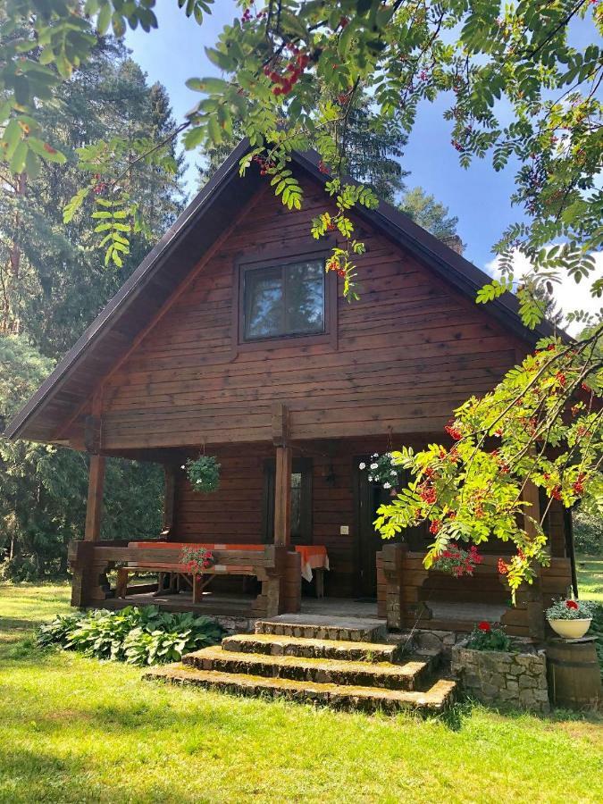 Rojaus Slenis Villa Druskininkai Dış mekan fotoğraf