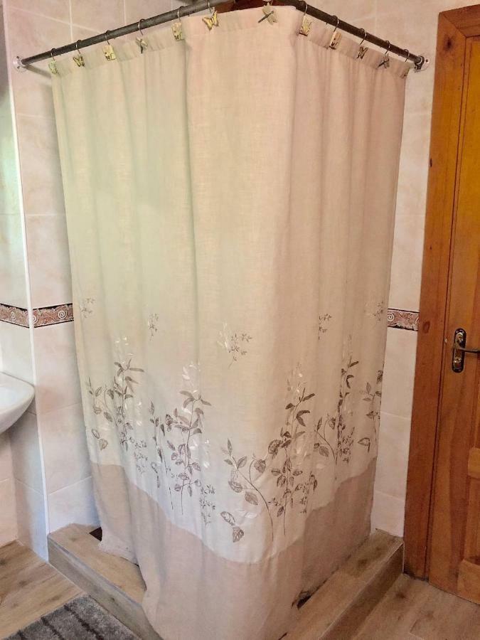Rojaus Slenis Villa Druskininkai Dış mekan fotoğraf