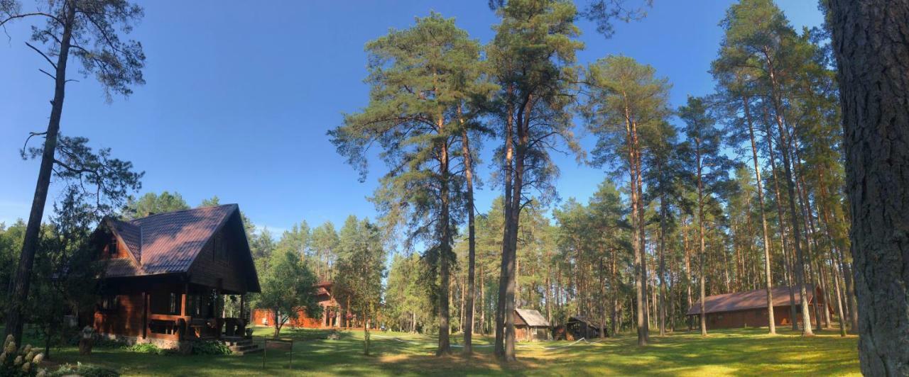 Rojaus Slenis Villa Druskininkai Dış mekan fotoğraf