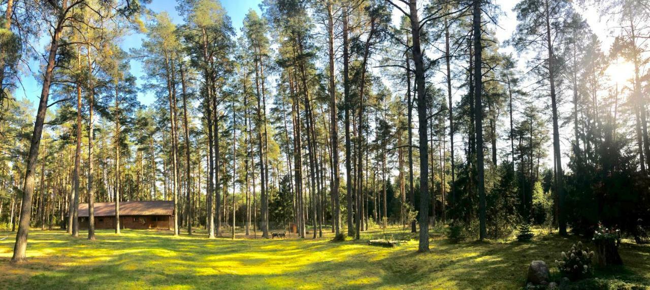 Rojaus Slenis Villa Druskininkai Dış mekan fotoğraf