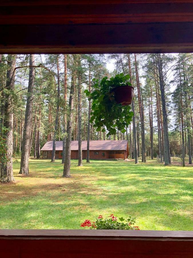 Rojaus Slenis Villa Druskininkai Dış mekan fotoğraf