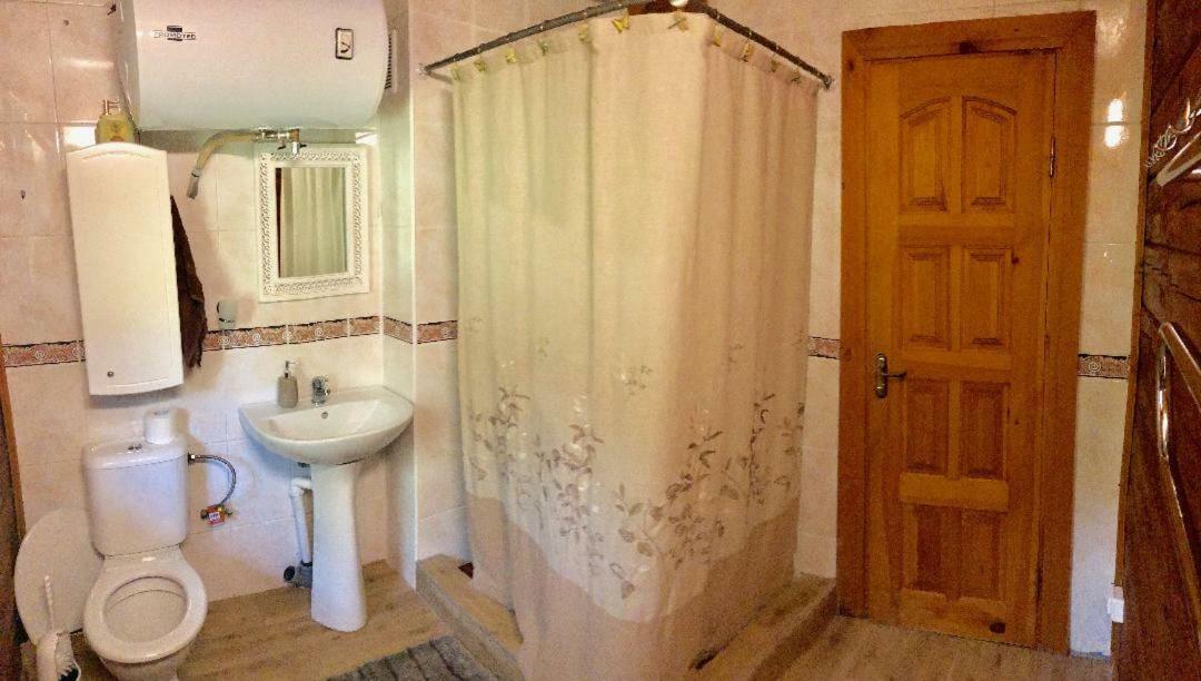 Rojaus Slenis Villa Druskininkai Dış mekan fotoğraf