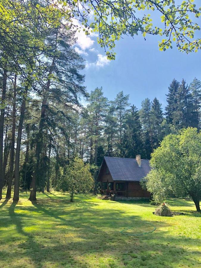 Rojaus Slenis Villa Druskininkai Dış mekan fotoğraf