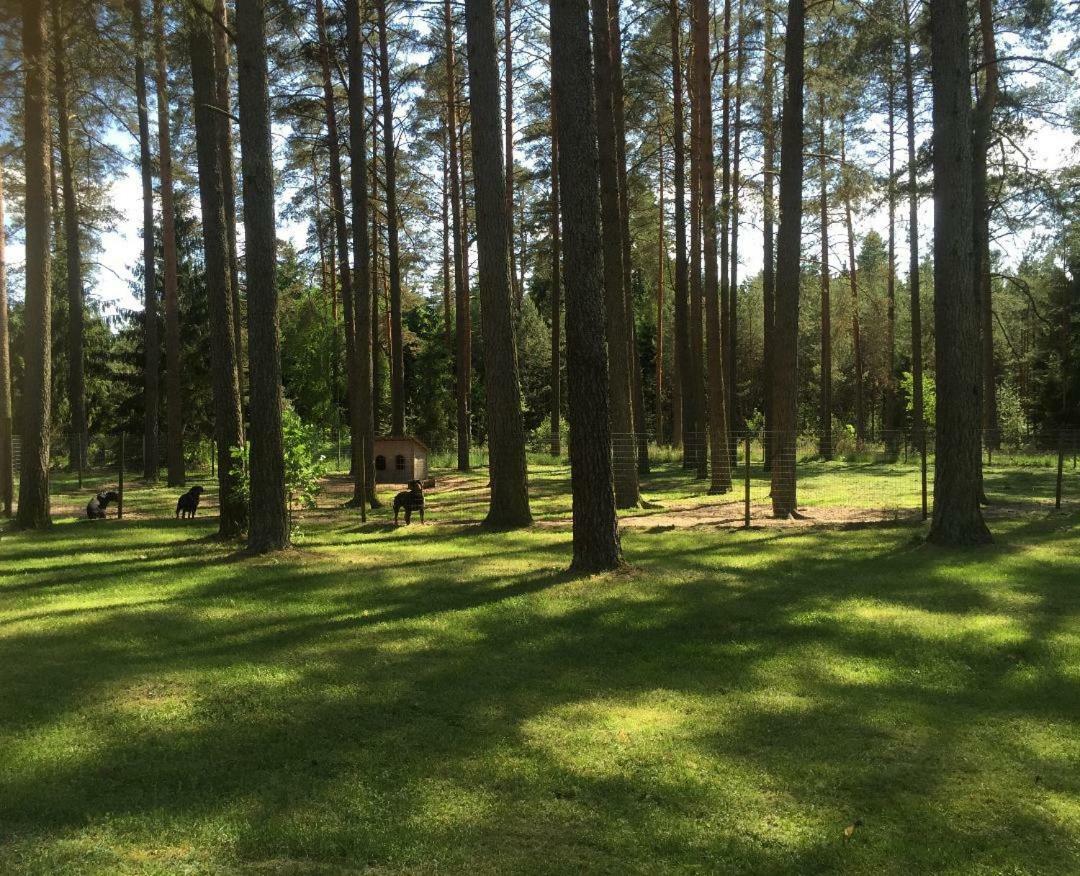 Rojaus Slenis Villa Druskininkai Dış mekan fotoğraf