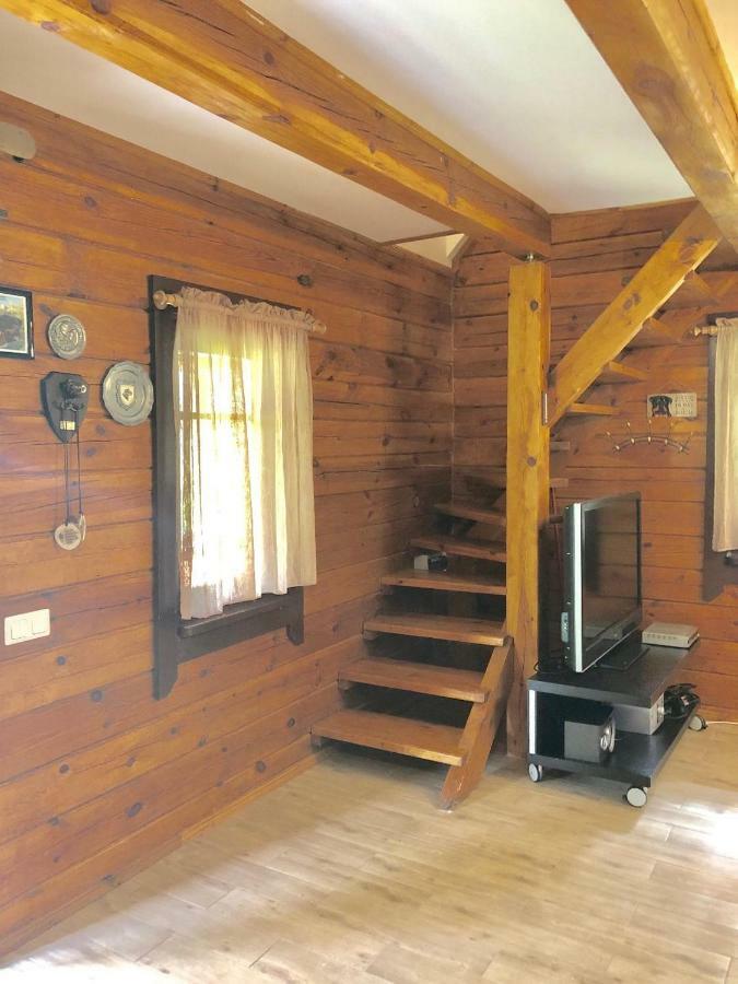 Rojaus Slenis Villa Druskininkai Dış mekan fotoğraf